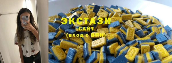 индика Ладушкин