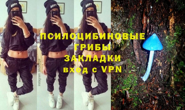 амф Абинск