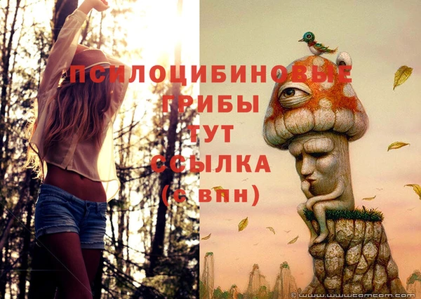 амф Абинск