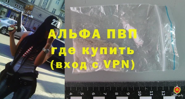 индика Ладушкин