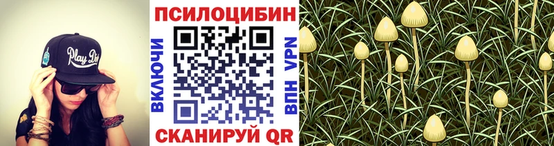 кракен сайт  Альметьевск  Галлюциногенные грибы мухоморы 